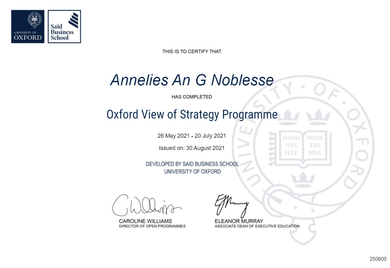 Oxford view of Strategy Programme Oxford view of Strategy Programme